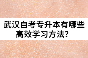 武漢自考專升本有哪些高效學習方法？