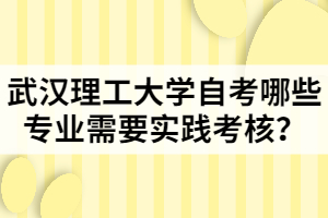 武漢理工大學自考哪些專業(yè)需要實踐考核？