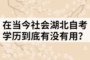 在當今社會湖北自考學(xué)歷到底有沒有用？
