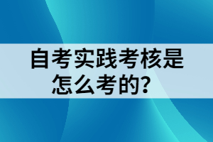 自考實(shí)踐考核是怎么考的？