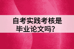 自考實踐考核是畢業(yè)論文嗎？