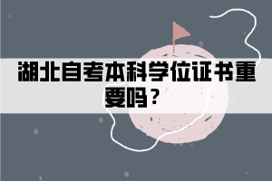 湖北自考本科學(xué)位證書重要嗎？