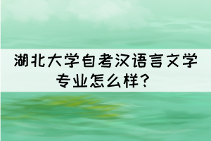 湖北大學自考漢語言文學專業(yè)怎么樣？