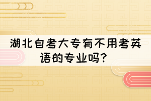 湖北自考全日制大專哪些專業(yè)不用考英語(yǔ)？