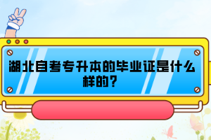 湖北自考專升本的畢業(yè)證是什么樣的？
