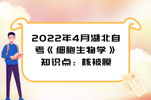 2022年4月湖北自考《細(xì)胞生物學(xué)》知識點：核被膜