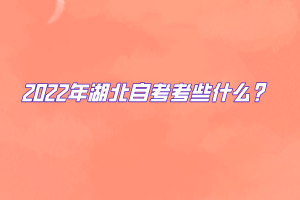 2022年湖北自考考些什么？