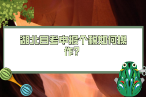 湖北自考申報個稅如何操作？