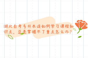 湖北自考專升本該如何學(xué)習(xí)課程知識點，總是掌握不了重點怎么辦？