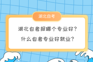 湖北自考報哪個專業(yè)好？什么自考專業(yè)好就業(yè)？