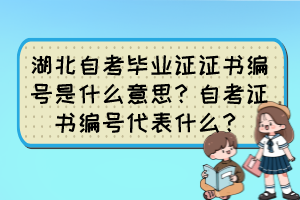 湖北自考畢業(yè)證證書(shū)編號(hào)是什么意思？自考證書(shū)編號(hào)代表什么？