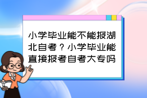 小學畢業(yè)能不能報湖北自考？小學畢業(yè)能直接報考自考大專嗎？
