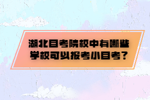 湖北自考院校中有哪些學(xué)校可以報(bào)考小自考？