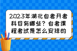 2023年湖北自考開考科目有哪些？自考課程考試是怎么安排的？