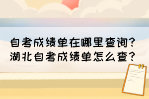 自考成績單在哪里查詢？湖北自考成績單怎么查？