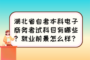 湖北省自考本科電子商務(wù)考試科目有哪些？就業(yè)前景怎么樣？