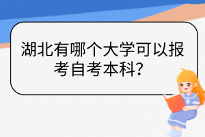 湖北有哪個大學可以報考自考本科？