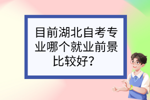 目前湖北自考專業(yè)哪個就業(yè)前景比較好？