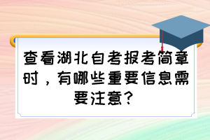 查看湖北自考報考簡章時，有哪些重要信息需要注意？