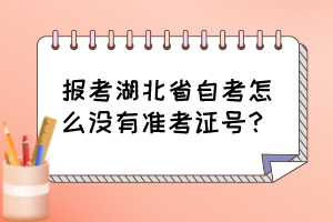 報(bào)考湖北省自考怎么沒有準(zhǔn)考證號(hào)？