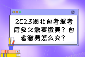 2023湖北自考報(bào)考后多久需要繳費(fèi)？自考繳費(fèi)怎么交？