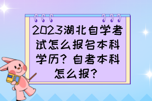 2023湖北自學(xué)考試怎么報(bào)名本科學(xué)歷？自考本科怎么報(bào)？