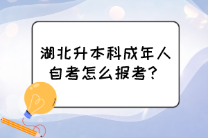 湖北升本科成年人自考怎么報考？