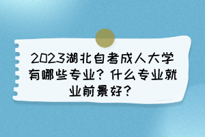 2023湖北自考成人大學有哪些專業(yè)？什么專業(yè)就業(yè)前景好？