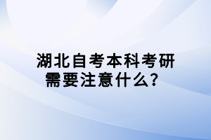 湖北自考本科考研需要注意什么？