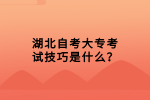 湖北自考大?？荚嚰记墒鞘裁?？
