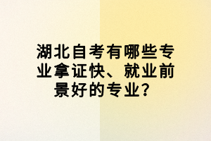 湖北自考有哪些專業(yè)拿證快、就業(yè)前景好的專業(yè)？