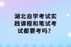湖北自學(xué)考試實(shí)踐課程和筆試考試都要考嗎？