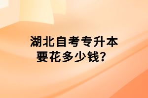 湖北自考專升本要花多少錢？