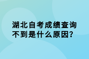湖北自考成績查詢不到是什么原因？