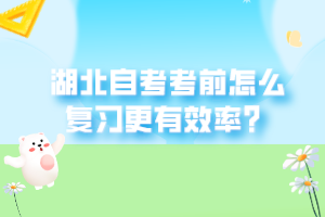 湖北自考考前怎么復習更有效率？