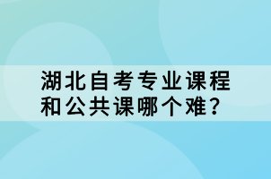 湖北自考專業(yè)課程和公共課哪個(gè)難？