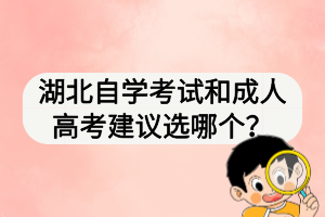 湖北自學(xué)考試和成人高考建議選哪個(gè)？