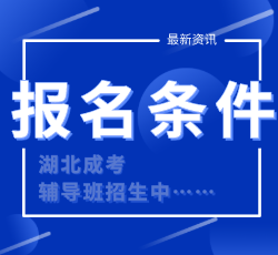 國際本科2+2報名條件