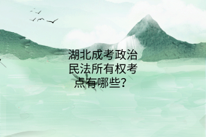 政治考點