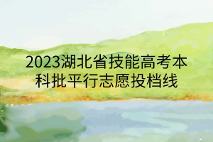 2023湖北省技能高考本科批平行志愿投檔線 2023湖北省技能高考本科批平行志愿投檔線