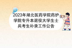 2023年湖北醫(yī)藥學院藥護學院專升本退役大學生士兵考生補錄工作公告