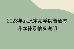 2023年武漢東湖學(xué)院普通專(zhuān)升本補(bǔ)錄情況說(shuō)明
