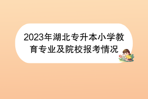 2023年湖北專升本小學(xué)教育專業(yè)及院校報(bào)考情況