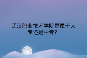 武漢職業(yè)技術學院是屬于大專還是中專？