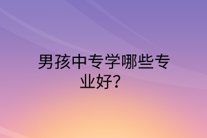 男孩中專學(xué)哪些專業(yè)好？