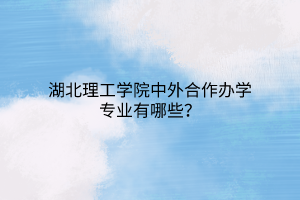 湖北理工學(xué)院中外合作辦學(xué)專業(yè)有哪些？