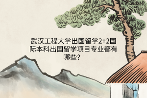 武漢工程大學出國留學2+2國際本科出國留學項目專業(yè)都有哪些？