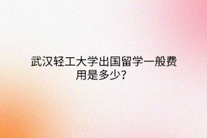 武漢輕工大學(xué)出國(guó)留學(xué)一般費(fèi)用是多少？