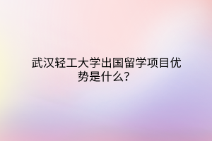 武漢輕工大學(xué)出國留學(xué)項(xiàng)目優(yōu)勢是什么？