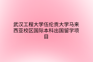 武漢工程大學(xué)伍倫貢大學(xué)馬來西亞校區(qū)國際本科出國留學(xué)項(xiàng)目